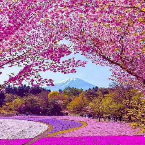 کاشکی باز امشب بارون بیاد